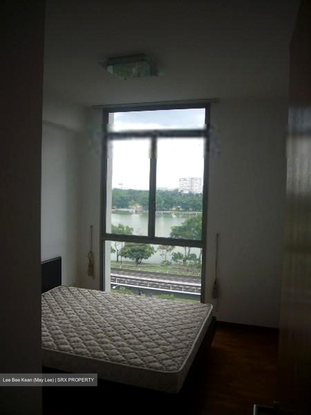 The Lakeshore (D22), Condominium #489115811